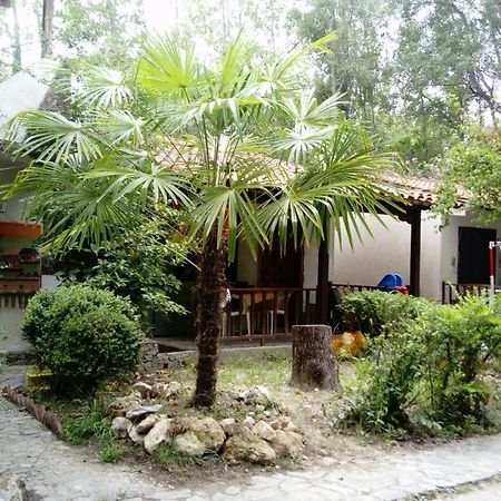 Camping Elizabeth Hotel Kalyvia Varikou Exterior photo